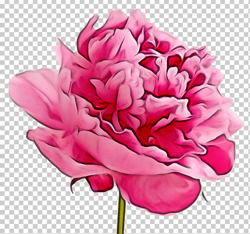 Flower Garden PNG, Clipart, Artificial Flower, Floral Design, Floristry, Flower, Flower Bouquet Free PNG Download