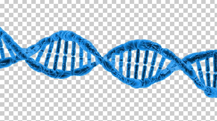 DNA Epigenetics Genetic Testing Transcription PNG, Clipart, Aqua, Biology, Blue, Crispr, Dna Free PNG Download