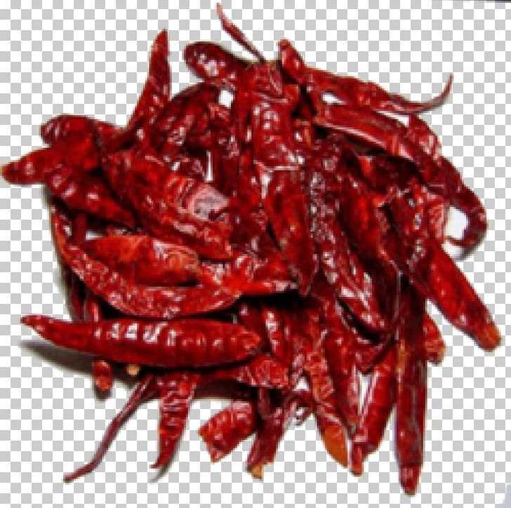 Indian Cuisine Chili Pepper Spice Food Drying Dried Fruit PNG, Clipart, Bell Pepper, Bell Peppers And Chili Peppers, Birds Eye Chili, Black Pepper, Cayenne Pepper Free PNG Download