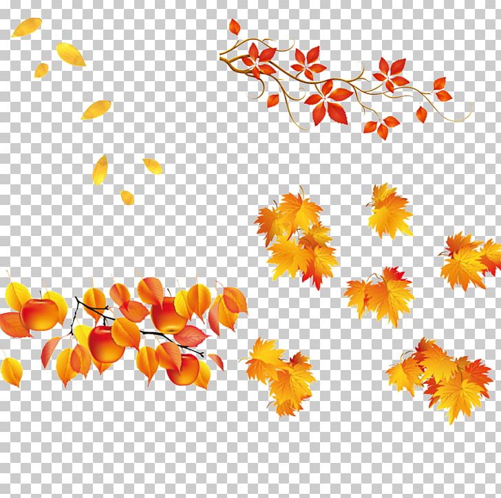 Leaf Autumn PNG, Clipart, Autumn Leaf, Border, Branch, Cartoon, Download Free PNG Download