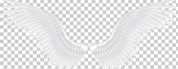 Light Angel PNG, Clipart, Angel, Angel Wings, Angle, Background, Beak Free PNG Download