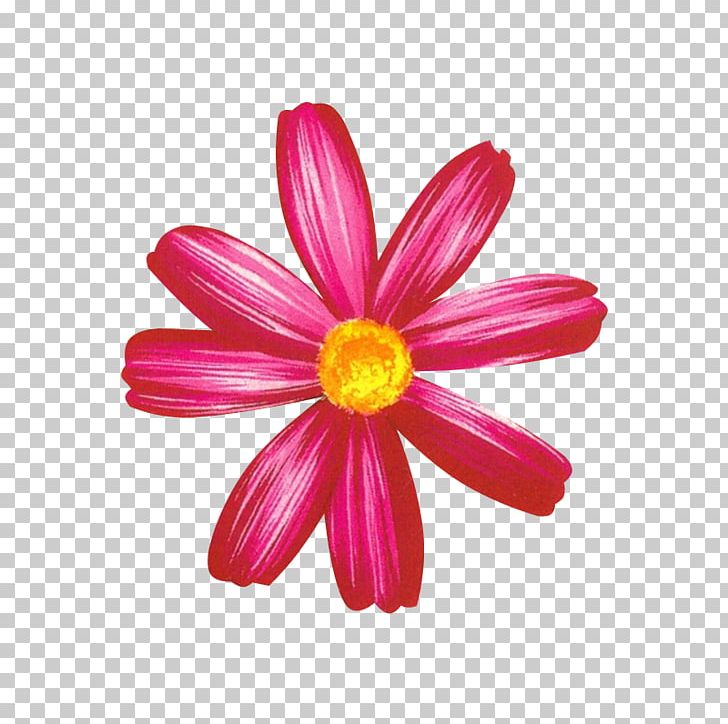 MeituPic Photographic Film PNG, Clipart, Cartoon, Chrysanthemum, Chrysanths, Cicekler, Cut Flowers Free PNG Download