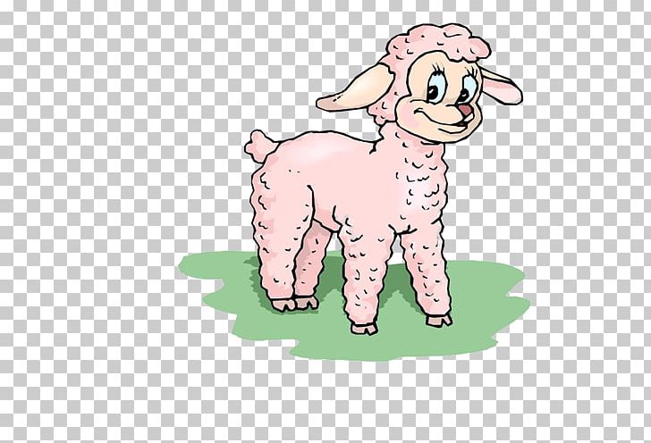 Sheep Agneau Goat Our Saviour's Lutheran Church PNG, Clipart,  Free PNG Download