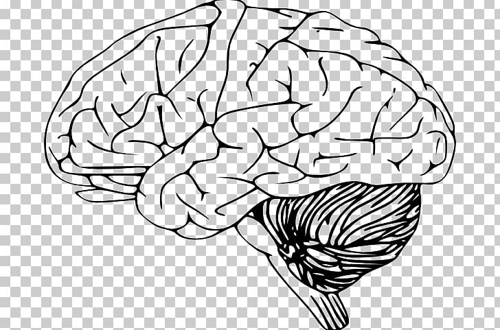 Brain Drawing PNG, Clipart, Artwork, Black And White, Brain, Computer Icons, Desktop Wallpaper Free PNG Download