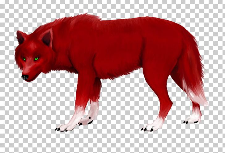 Red Fox Red Wolf Gray Wolf Fur Snout PNG, Clipart, Carnivoran, Character, Dog Like Mammal, Fiction, Fictional Character Free PNG Download