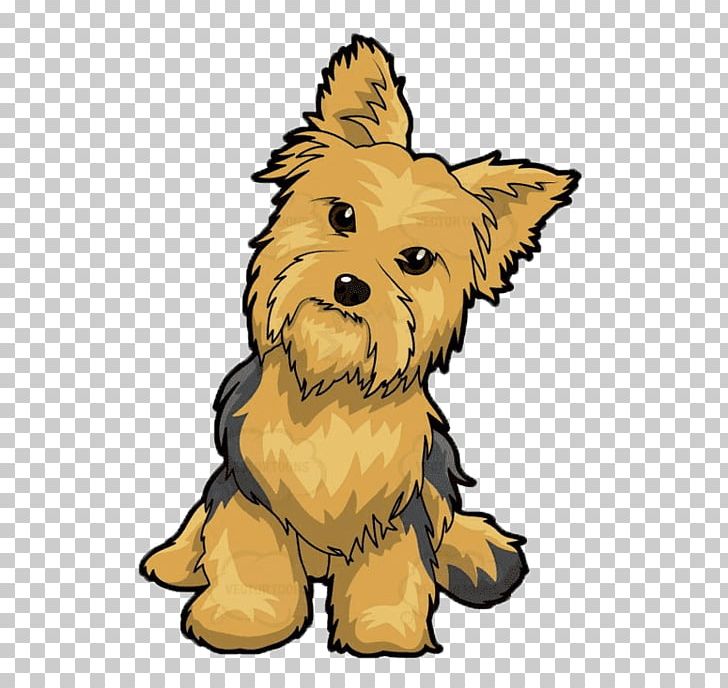 Yorkshire Terrier Puppy Yorkipoo English Toy Terrier Poodle PNG, Clipart, Animals, Australian Terrier, Cairn Terrier, Carnivoran, Companion Dog Free PNG Download