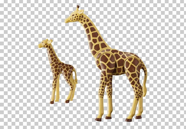 Calf Northern Giraffe Playmobil Child Zoo PNG, Clipart, Action Toy Figures, Animal Figure, Animals, Calf, Child Free PNG Download