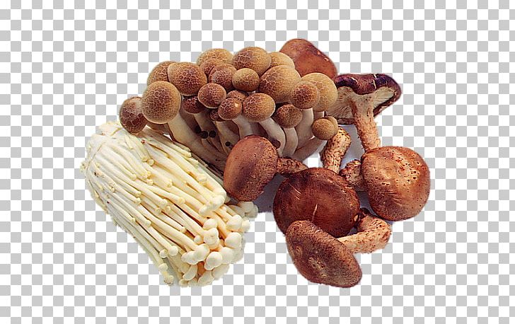 Edible Mushroom Fried Rice Sichuan Cuisine Cooking PNG, Clipart, Chafing, Cream Of Mushroom Soup, Eating, Food, Free Stock Png Free PNG Download