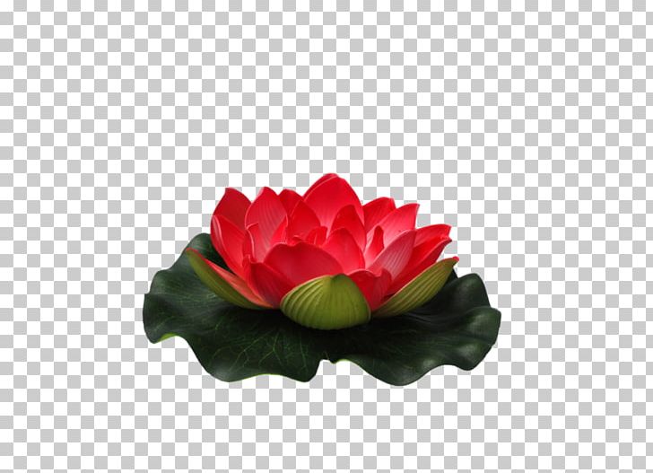 Flower Nelumbo Nucifera PNG, Clipart, Color, Desktop Wallpaper, Encapsulated Postscript, Flower, Flower Bouquet Free PNG Download