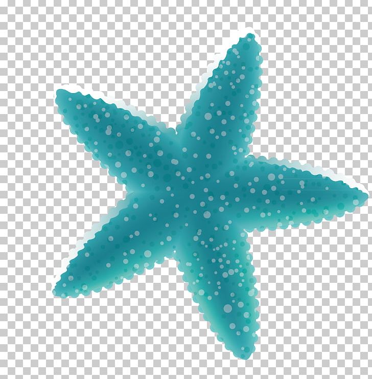 Starfish Icon PNG, Clipart, 3d Computer Graphics, Adobe Illustrator, Animals, Aqua, Coreldraw Free PNG Download