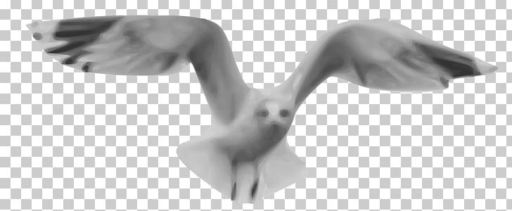 Gulls PNG, Clipart, Angle, Animal Figure, Arm, Beak, Black And White Free PNG Download