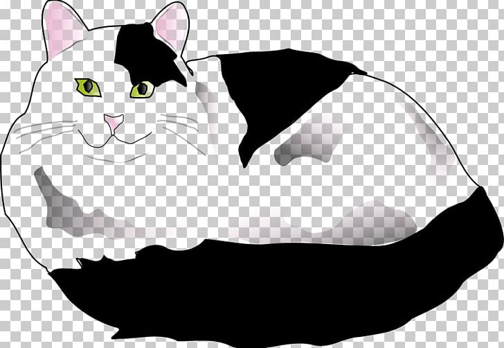 Persian Cat Kitten PNG, Clipart, Animals, Black, Black And White, Carnivoran, Cartoon Free PNG Download