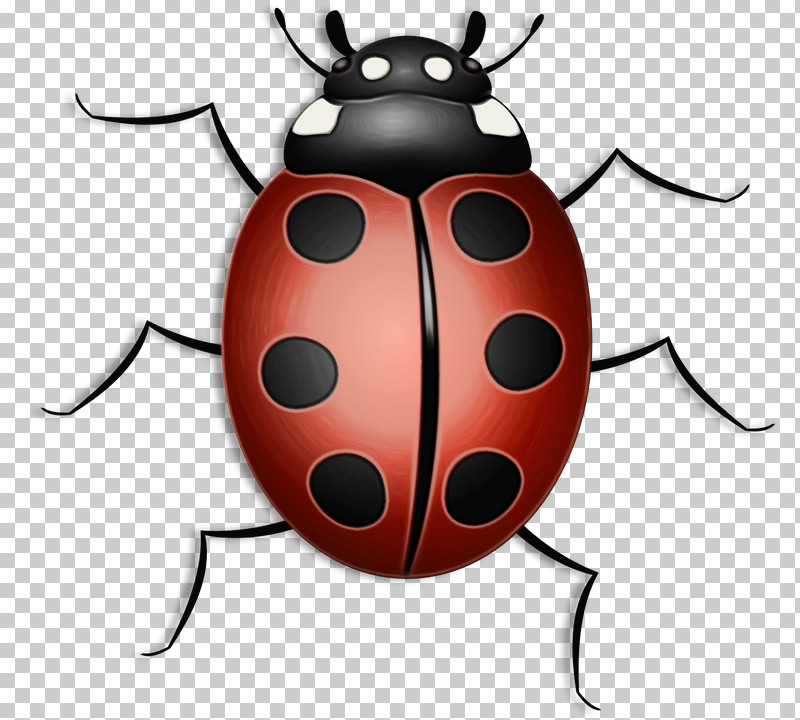 Ladybug PNG, Clipart, Beetle, Blister Beetles, Darkling Beetles, Insect, Jewel Bugs Free PNG Download
