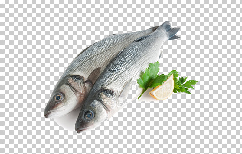 Fish Fish Fish Products Oily Fish Herring PNG, Clipart, Anchovy Food, Bass, Bonyfish, Capelin, Cuisine Free PNG Download