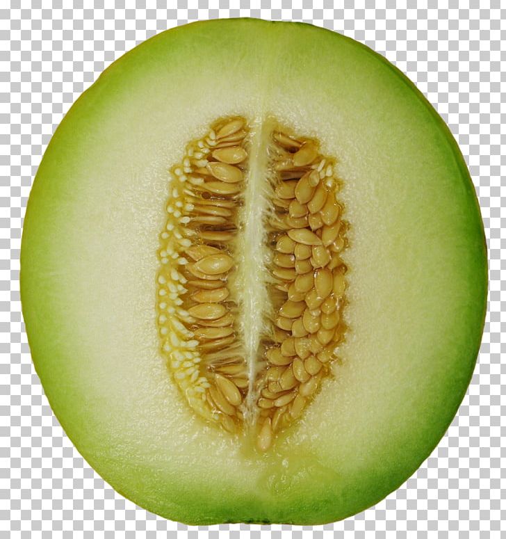 Honeydew Cantaloupe Frutti Di Bosco Melon Wax Gourd PNG, Clipart, Ash Gourd, Auglis, Bosco, Cantaloupe, Commodity Free PNG Download