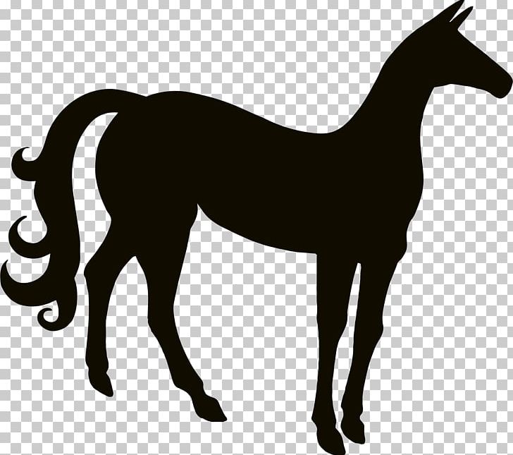 Horse PNG, Clipart, Animals, Black And White, Cartoon Horse, Colt, Download Free PNG Download
