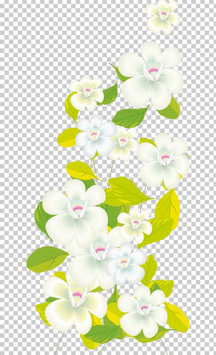 Moth Orchids PNG, Clipart, Albom, Blossom, Branch, Computer, Cut Flowers Free PNG Download