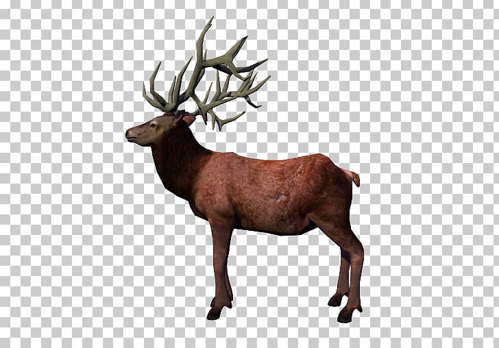 Reindeer Elk Antler Arcane Legends PNG, Clipart, Animal, Animation, Antler, Arcane Legends, Cartoon Free PNG Download