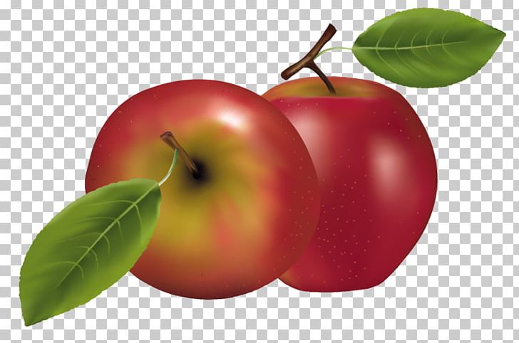 Fruit PNG, Clipart, Accessory Fruit, Acerola, Acerola Family, Apple, Auglis Free PNG Download