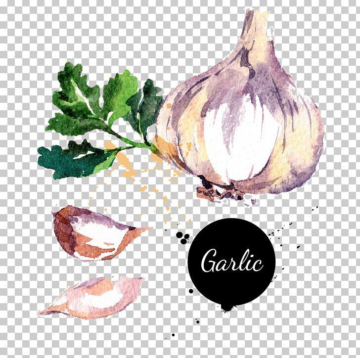 Potato Onion Chili Con Carne Garlic Vegetable PNG, Clipart, Art, Cartoon Garlic, Chili Garlic, Depositphotos, Drawing Free PNG Download