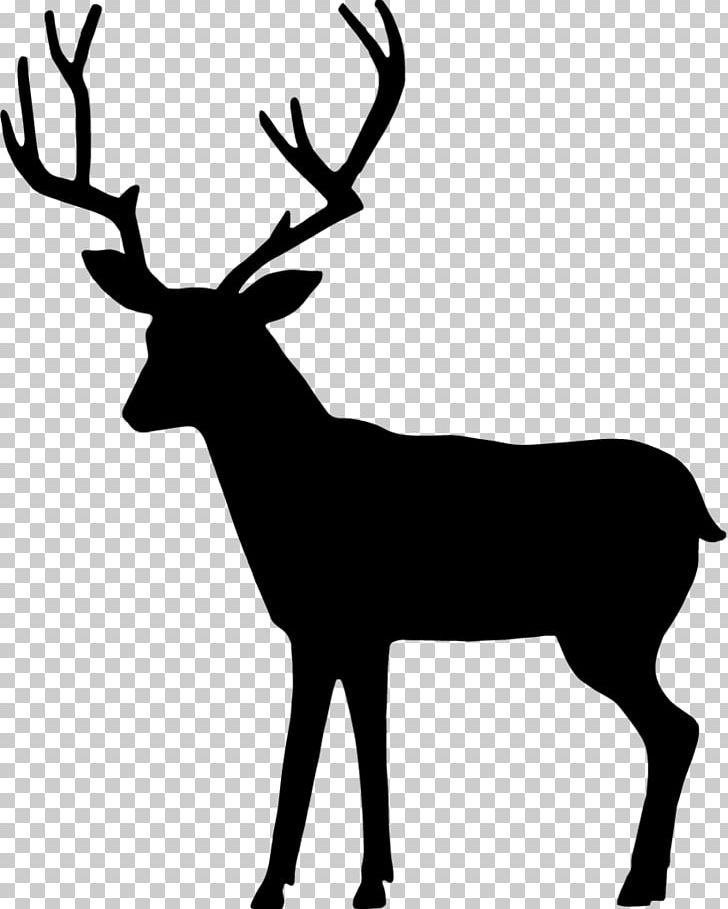 Deer Drawing PNG, Clipart, Animals, Antler, Art, Art Museum, Black And White Free PNG Download