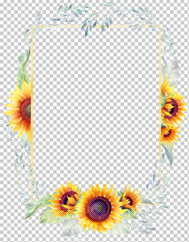 Picture Frame PNG, Clipart, Daisy Family, Flower, Interior Design, Picture Frame, Plant Free PNG Download