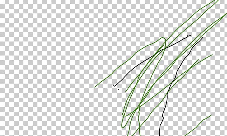 Grasses Plant Stem Leaf Line Art Angle PNG, Clipart, Angle, Branch, Family, Flora, Grass Free PNG Download