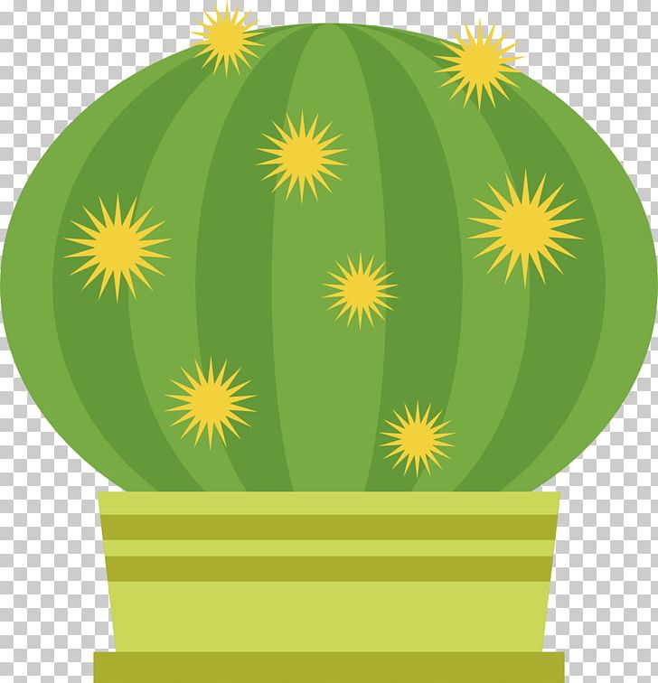 Cactaceae PNG, Clipart, Barbed, Botany, Cactus Cartoon, Cactus Flower, Cactus Vector Free PNG Download