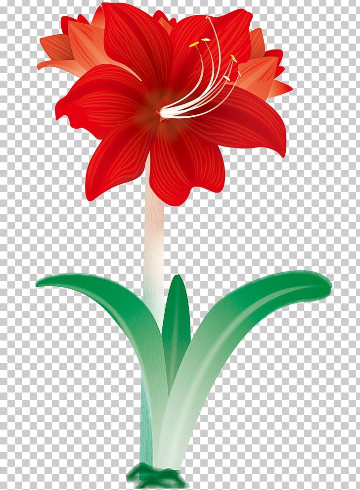 Flower Red Ribbon Orange Textile PNG, Clipart, Amaryllis, Amaryllis Belladonna, Amaryllis Family, Blue, Cut Flowers Free PNG Download