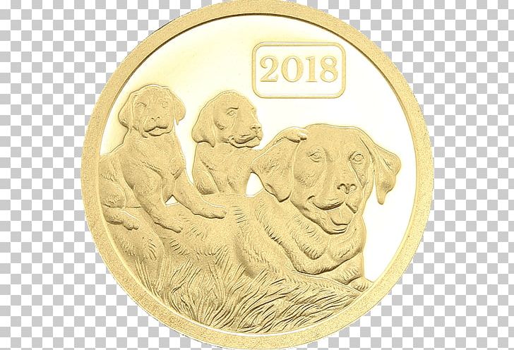 Gold Coin Gold Coin Canidae Dog PNG, Clipart, Canidae, Carnivoran, Coin, Currency, Dog Free PNG Download