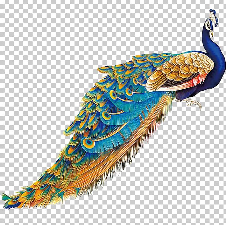 China Bird Peafowl Feather PNG, Clipart, Animal, Animals, Beak, Blue, Blue Peacock Tail Free PNG Download