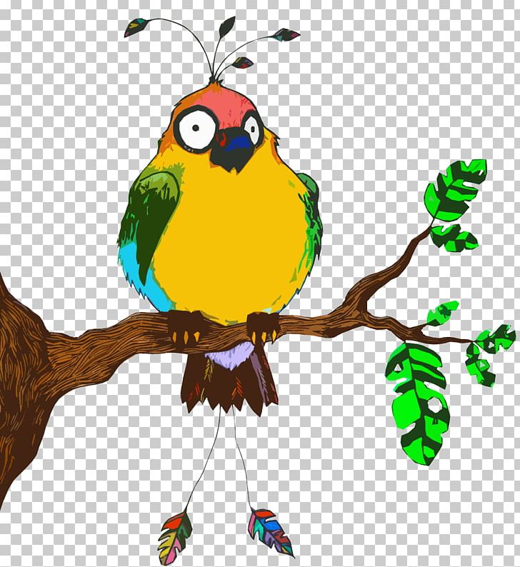Macaw Parrot Beak PNG, Clipart, Animals, Artwork, Beak, Bird, Branch Free PNG Download