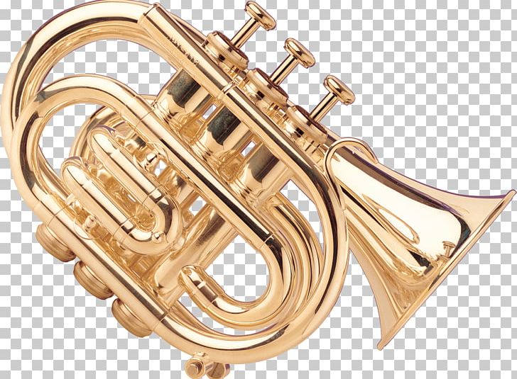 Musical Instruments Wind Instrument Saxophone Brass Instruments Trombone PNG, Clipart, Alto Horn, Brass, Brass Instrument, Cornet, Dizi Free PNG Download