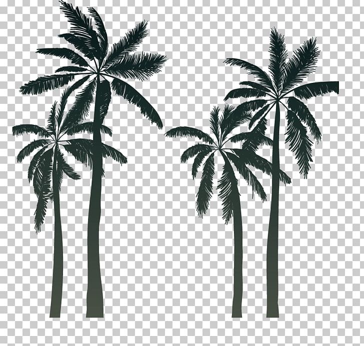 Silhouette Arecaceae Sunset Cartoon PNG, Clipart, Animals, Arecales, Balloon Cartoon, Black And White, Borassus Flabellifer Free PNG Download