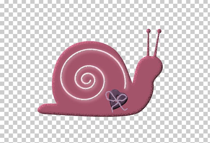Snail Icon PNG, Clipart, Animal, Artworks, Cartoon, Download, Euclidean Vector Free PNG Download