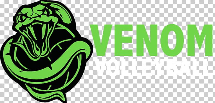 Venom Logo Spider-Man Green Goblin Volleyball PNG, Clipart, Brand, Carnage, Graphic Design, Grass, Green Free PNG Download