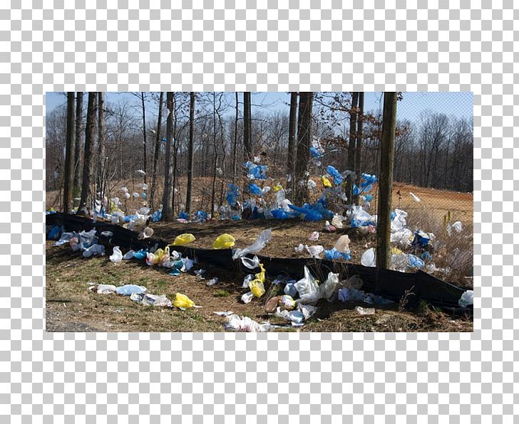 Plastic Bag Waste Recycling Natural Environment PNG, Clipart, Algeria, Bag, Forest, Geological Phenomenon, Litter Free PNG Download