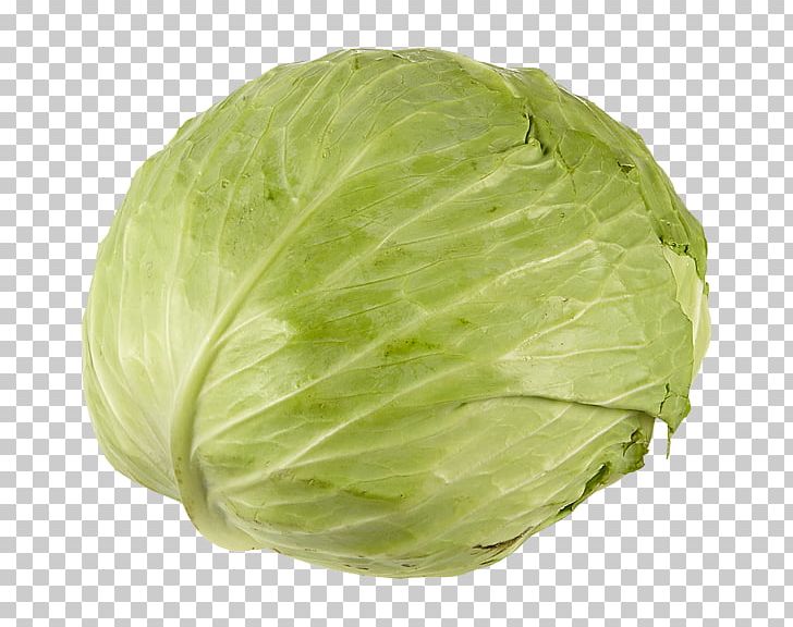Collard Greens Savoy Cabbage Cruciferous Vegetables Spring Greens PNG, Clipart, Brassica Oleracea, Cabbage, Chinese Cabbage, Collard Greens, Cruciferous Vegetables Free PNG Download