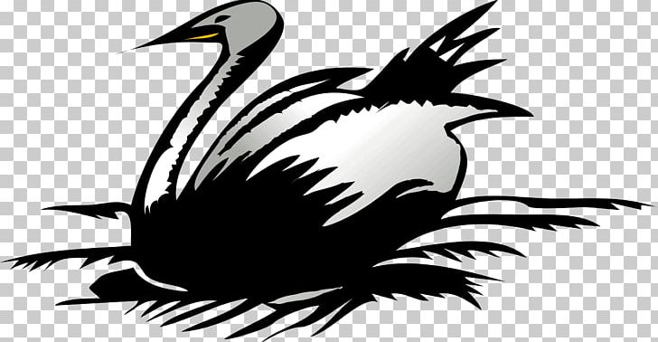 Cygnini PNG, Clipart, Animals, Beak, Bird, Black And White, Chicken Free PNG Download