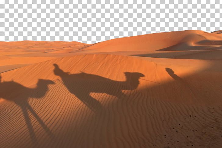 Dromedary Sahara Erg Desert PNG, Clipart, Aeolian Landform, Animals, Arabian Camel, Camel Desert, Camel Like Mammal Free PNG Download