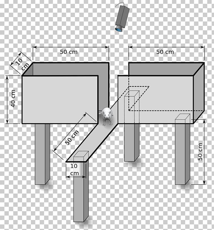 Elevated Plus Maze Rat Anxiolytic Anxiety PNG, Clipart, Angle, Animal, Animal Model, Animals, Anxiety Free PNG Download