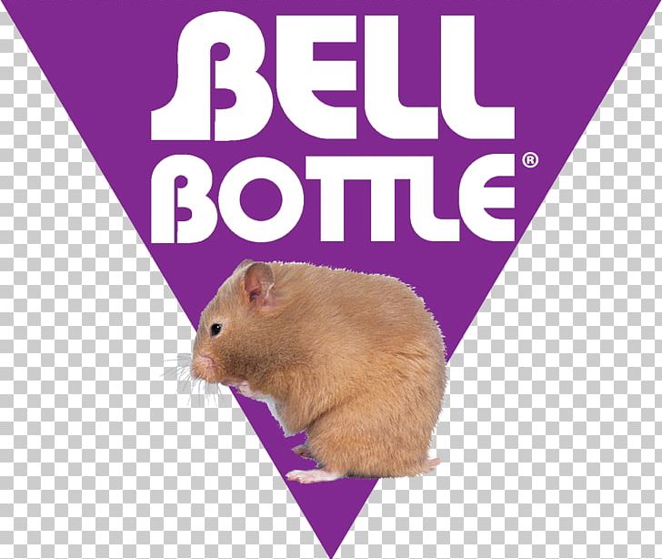 Gerbil Hamster Small Animal Supply Whiskers Computer Mouse PNG, Clipart, Computer Mouse, Fauna, Gerbil, Hamster, Mammal Free PNG Download