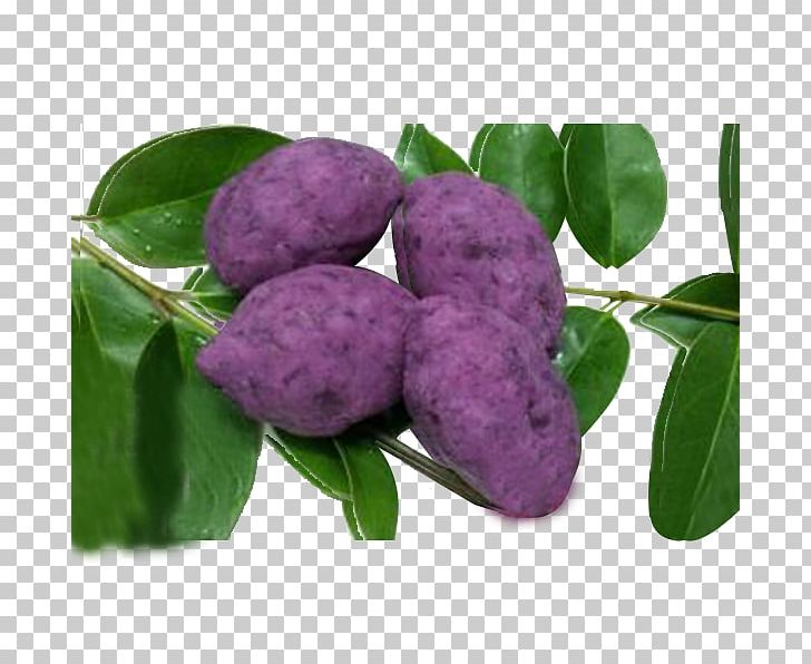 Purple Mulberry Dioscorea Alata Red Cabbage PNG, Clipart, Dioscorea Alata, Food, Fruit, Full, Google Images Free PNG Download