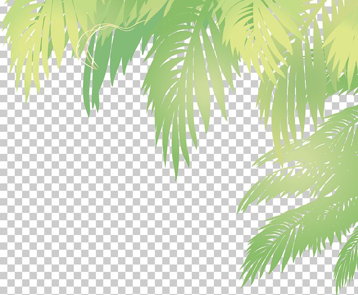 Arecaceae Leaf Euclidean Coconut PNG, Clipart, Arecales, Autumn Leaves, Branch, Coco, Coconut Tree Free PNG Download