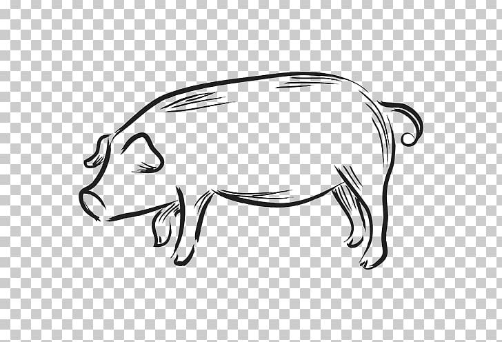 Chinese Zodiac Pig Dog Divination PNG, Clipart, 2018, Amistad, Animal Figure, Animals, Carnivoran Free PNG Download