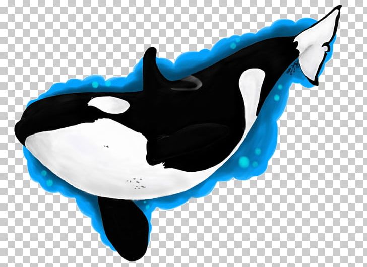 Killer Whale Dolphin PNG, Clipart, Animals, Cetacea, Coloring Pages, Colour, Deviantart Free PNG Download