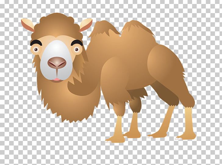 Dromedary Sticker PNG, Clipart, Arabian Camel, Beak, Camel, Camel Like Mammal, Carnivoran Free PNG Download
