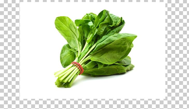 Palak Paneer Smoothie Leaf Vegetable Spinach PNG, Clipart, Basil, Brassica Juncea, Cabbage, Chard, Chinese Cabbage Free PNG Download