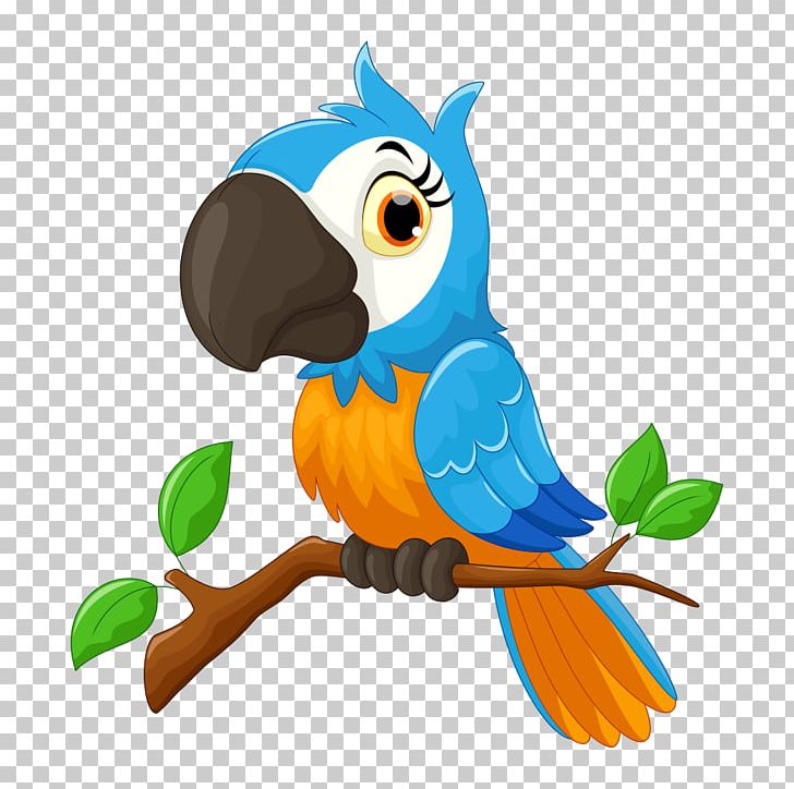 Parrot Cartoon Bird Illustration PNG, Clipart, Animal Illustration, Animals, Blue, Blue Background, Cartoon Animals Free PNG Download