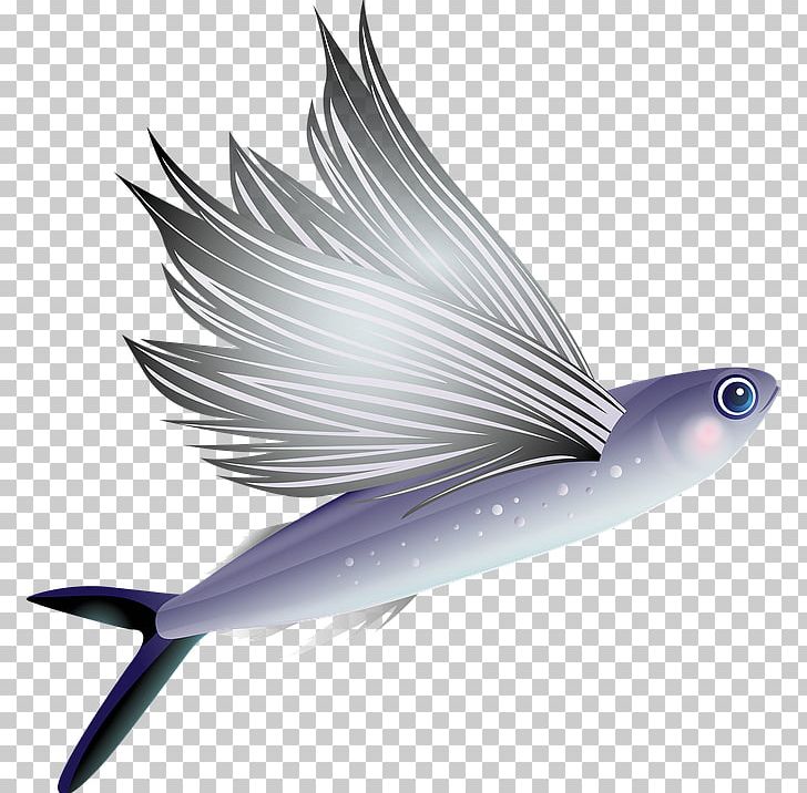 Portable Network Graphics Aquarium Fish PNG, Clipart, Aquarium, Download, Drawing, Exocoetus Volitans, Fin Free PNG Download